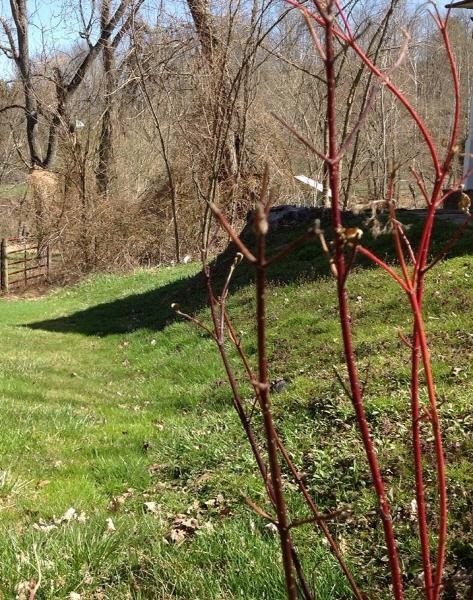 Holy Days in the Apple Pi Inn: Holy Saturday